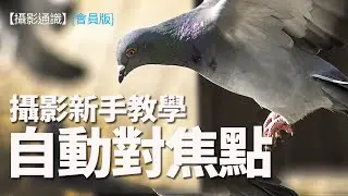 【攝影通識】1. 如何選擇相機的自動對焦點模式？ #攝影教學