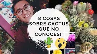 Cactus: 8 fun facts 🌵😮/8 curiosities about cacti