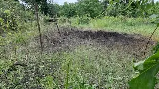 Вернулась домой, что увидела /28 июня 2022 г.