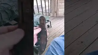 1943 Othello knife rebuild