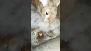 Мать! Это становится нехорошей традицией! 