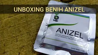Unboxing Benih Selada ANIZEL