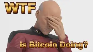 WTF Is Bitcoin Doing? - Weekly Crypto Review 10/30/20