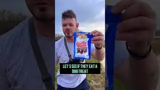NO BUDGET Dollar Store Big Fish Challenge! 