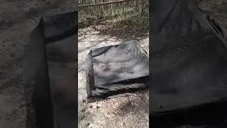 окуньки