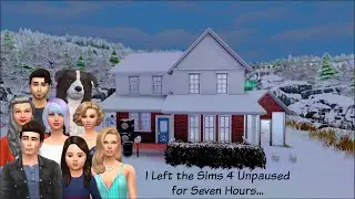 I Left The Sims 4 Unpaused For Seven Hours...