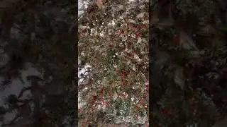 küçük videolar