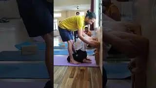 APARBACK 
