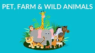 Pet Farm and Wild Animals || Animal Video for Kids