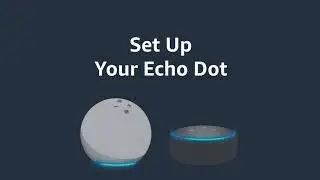 Amazon Alexa: Set Up Your Echo Dot