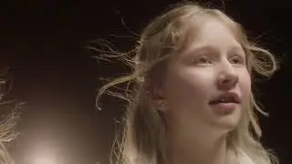 журавли Фадеев.