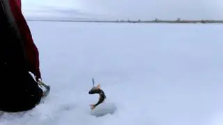 Рыбалка на балансир Айдыкуль