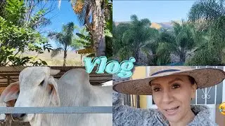 LA VIDA EN EL RANCHO🏡🐂🐄