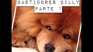 Bastidores Parte 1 - Billy, o chow chow agressivo na casa de Alexandre Rossi