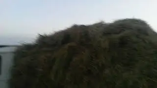 Доедет ли?