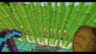 Minecraft Saga 2 #1196