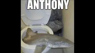 ANTHONY