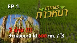 3 ง่าย 