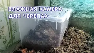 Влажная камера в террариуме черепах
