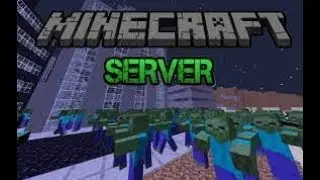 playing servers