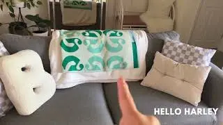 New Home Furnishings! Home Sense, Boho Labs, Glossier, The Bay!