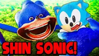 Shin Sonic! - Super Sonic Calamity