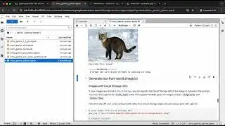 Getting Started with the Vertex AI Gemini API and Python SDK | GSP1209