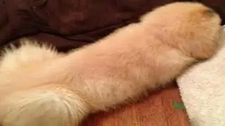 Нужен ли женщинам секс. Нужны ли женщинам отношения с мужчиной.