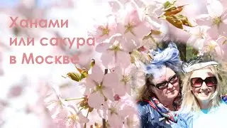 САКУРА в Москве!