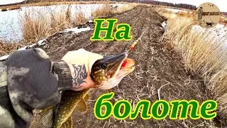 Fishing in the swamp.