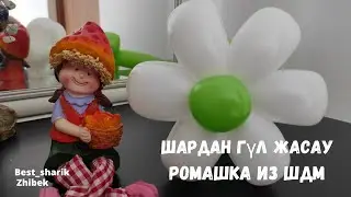 Шарлардан гүл жасау. Ромашка из шариков.