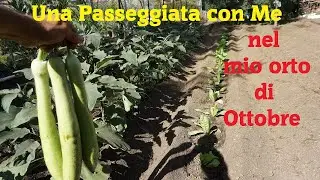 Una Passeggiata con Me nell'orto di Ottobre