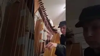 Wild Mountain Thyme (playing with a friend's harp)