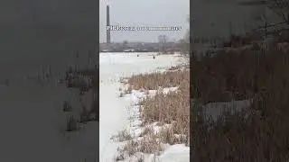 Ну вот это поворот 🤦‍♂️ 