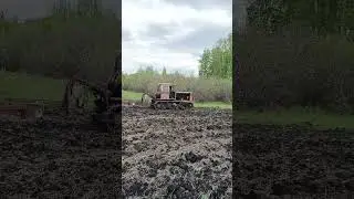 Старый Трактор Т-74 продолжает культивировать КПЭ 3,8 #дт75 #dt75 #farming #plowing