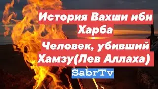 Вахши ибн Харб. Человек, убивший Хамзу(Лев Аллаха)