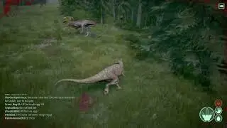 Adult Carno gets shit on by baby Cerato