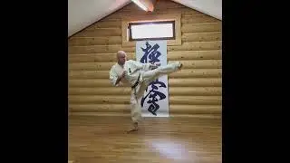 #hanshi #karate #yakunin #kyokushin #kyokushinkarate