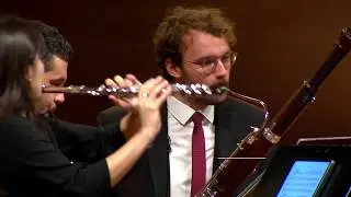 Ensemble Ouranos - Franz Danzi - Quintet op. 56 n°2 - Allegro