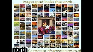 Image Licensing from the NNP Archives
