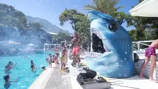 Shark Pool Party | CONCEPT PARTY
