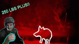 GRIM REAPER VS  HUGE WILD BOAR!