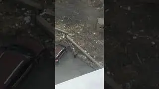 Медведь в городе!!!😱😱😱 Район Оганер 2022 год.