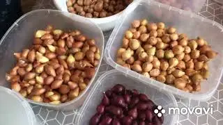 Готовим лук к посадке🧅