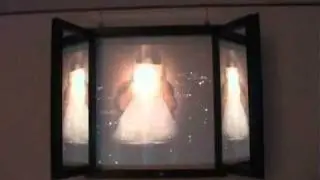 SHOWROOM WITH ARTIFICIAL FLOWERS, PANDORA,S BOX PLANETARIUM ETCETERA
