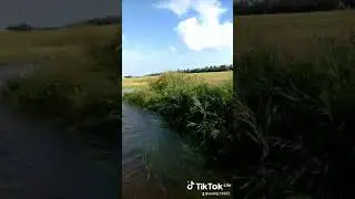 запорожская область дожди. потоп.
