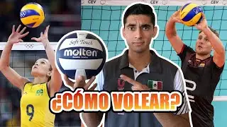 VOLEIBOL PARA PRINCIPIANTES. VOLEO.