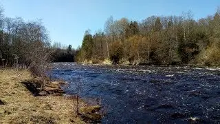 Березайка Мста 2019