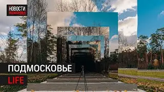 Тайны Малевича в Одинцово и детская реабилитация в Наро-Фоминске: Подмосковье LIFE