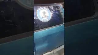 Стерлядь в Челябинской области